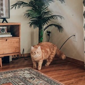 Meet your Posher, Haylee